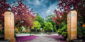 2023 International Student Scholarships At Minnesota State University Moorhead USA
