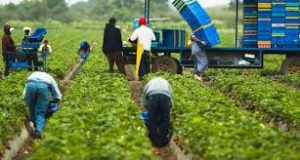 Jobs Openings At 15304300 Canada Inc – Vankleek Hill, Ontario