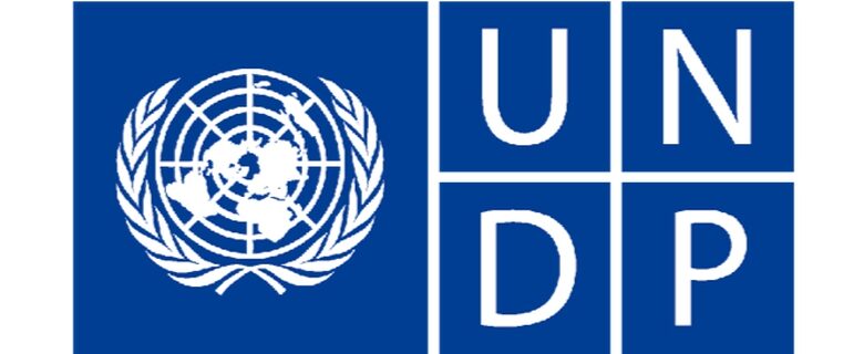 UNDP Graduate Program USA, 2024/2025