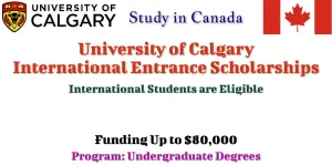 University Of Calgary Canada Scholarship 2024