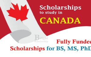 Apply for Scholarships Online in Canada 2025