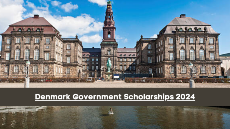 Denmark Government Scholarships 2025