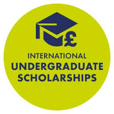 Fully Funded Undergraduate Scholarships 2025