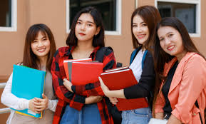 Heinrich Boll Foundation Scholarship 2025