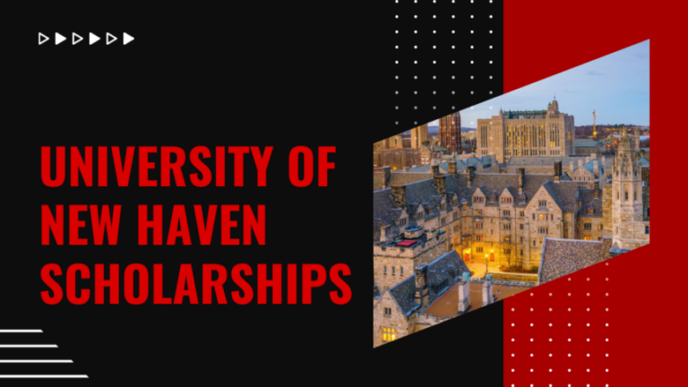University of New Haven Scholarships 2025